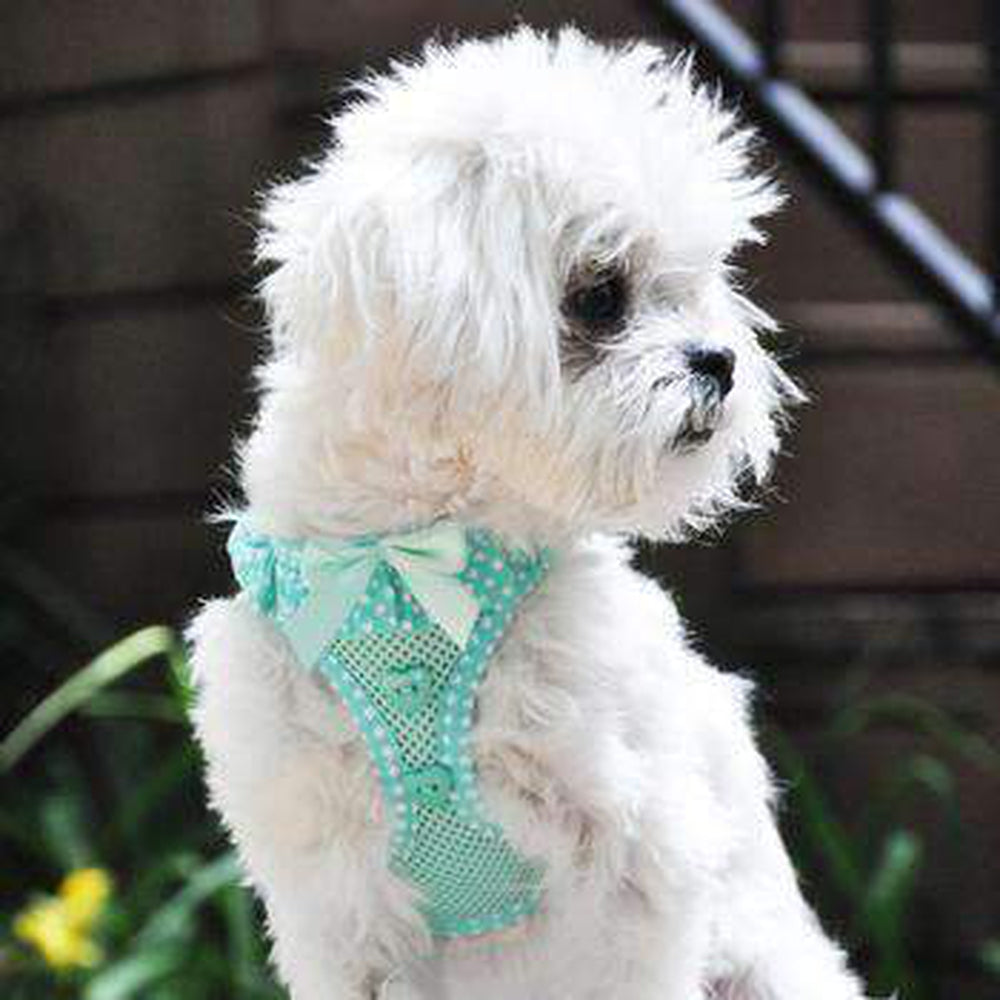 American River Choke-Free Dog Harness - Teal Polka Dot