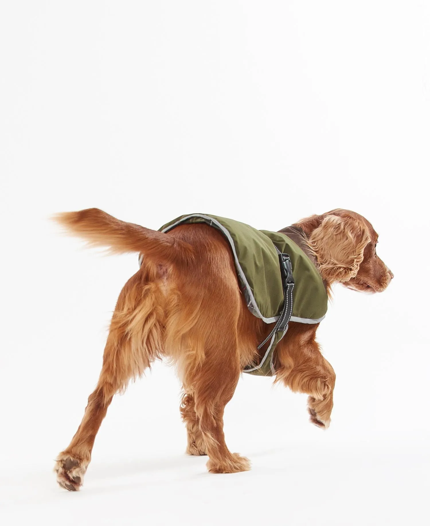 Barbour Monmouth Waterproof Dog Coat Olive