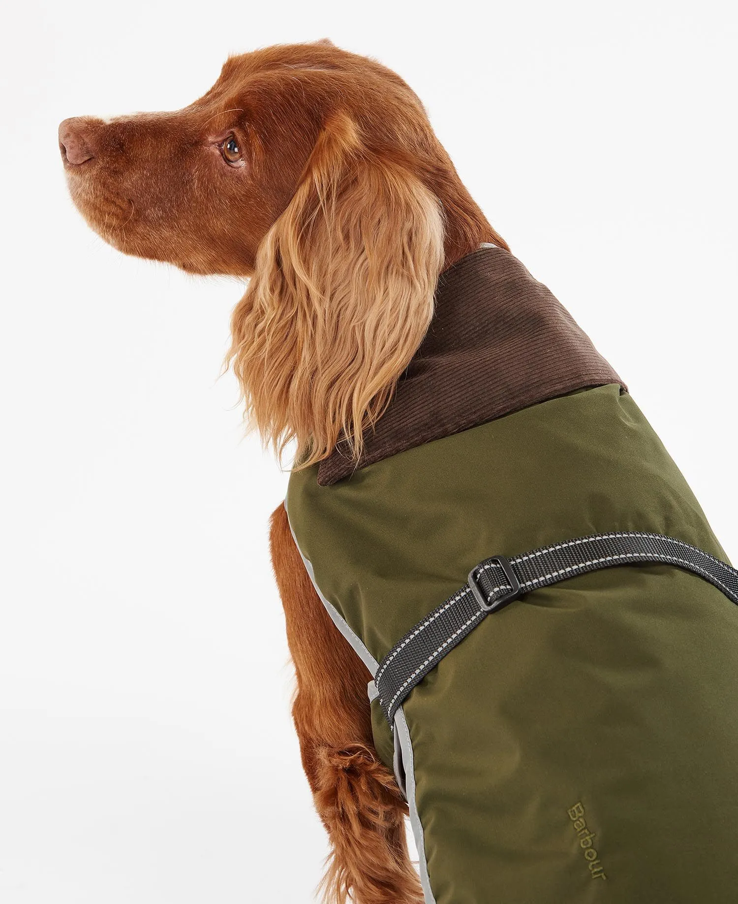 Barbour Monmouth Waterproof Dog Coat Olive