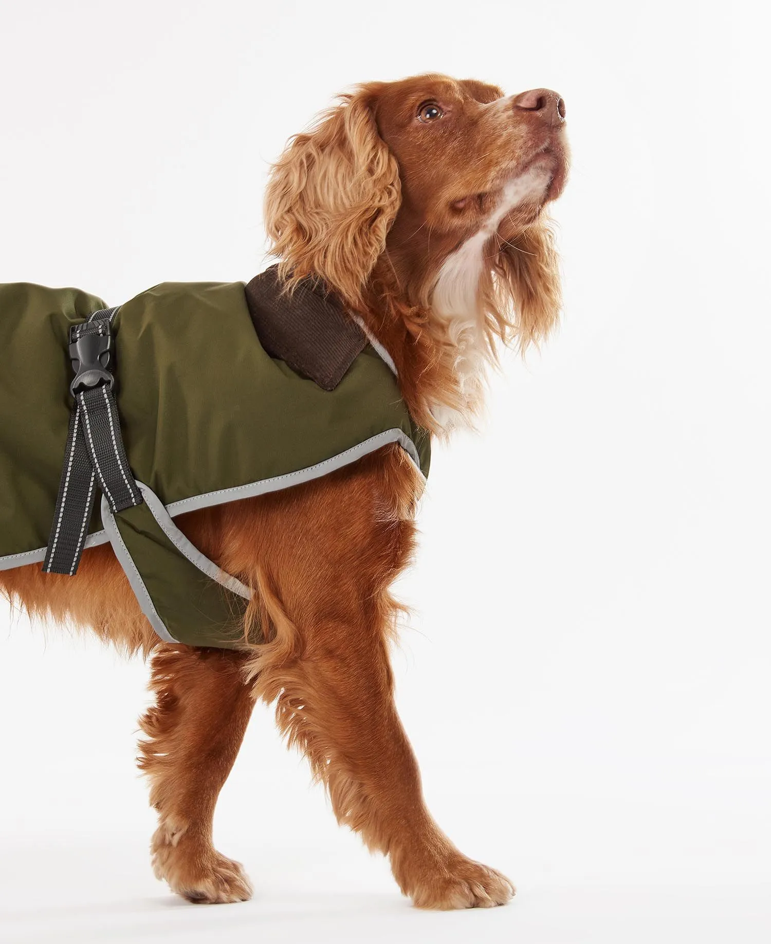 Barbour Monmouth Waterproof Dog Coat Olive