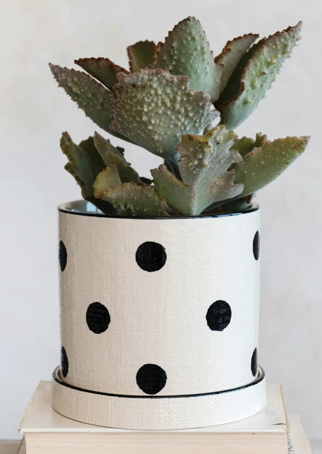 Polka Dot Ceramic Planter